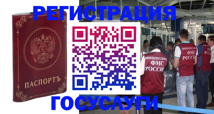 где прописаться в Коле